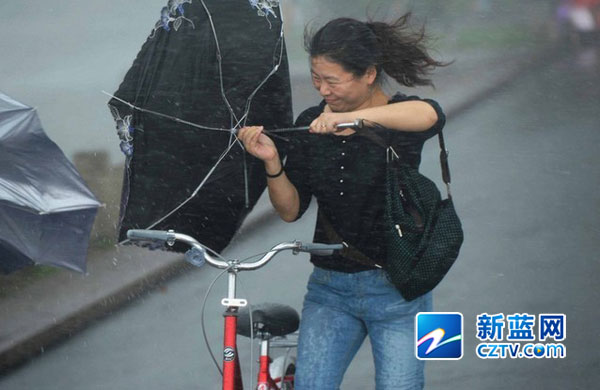 梅花来过杭州+台风下的表情