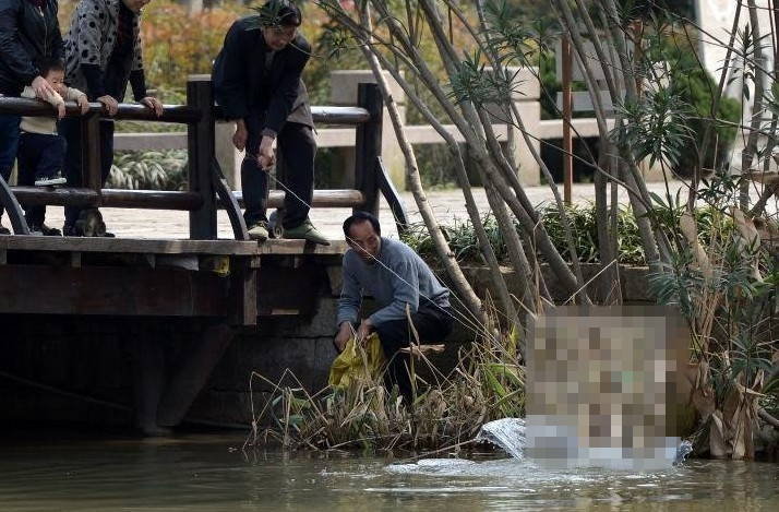 杭州八卦田:两男子用鱼线鱼钩偷钓大鱼