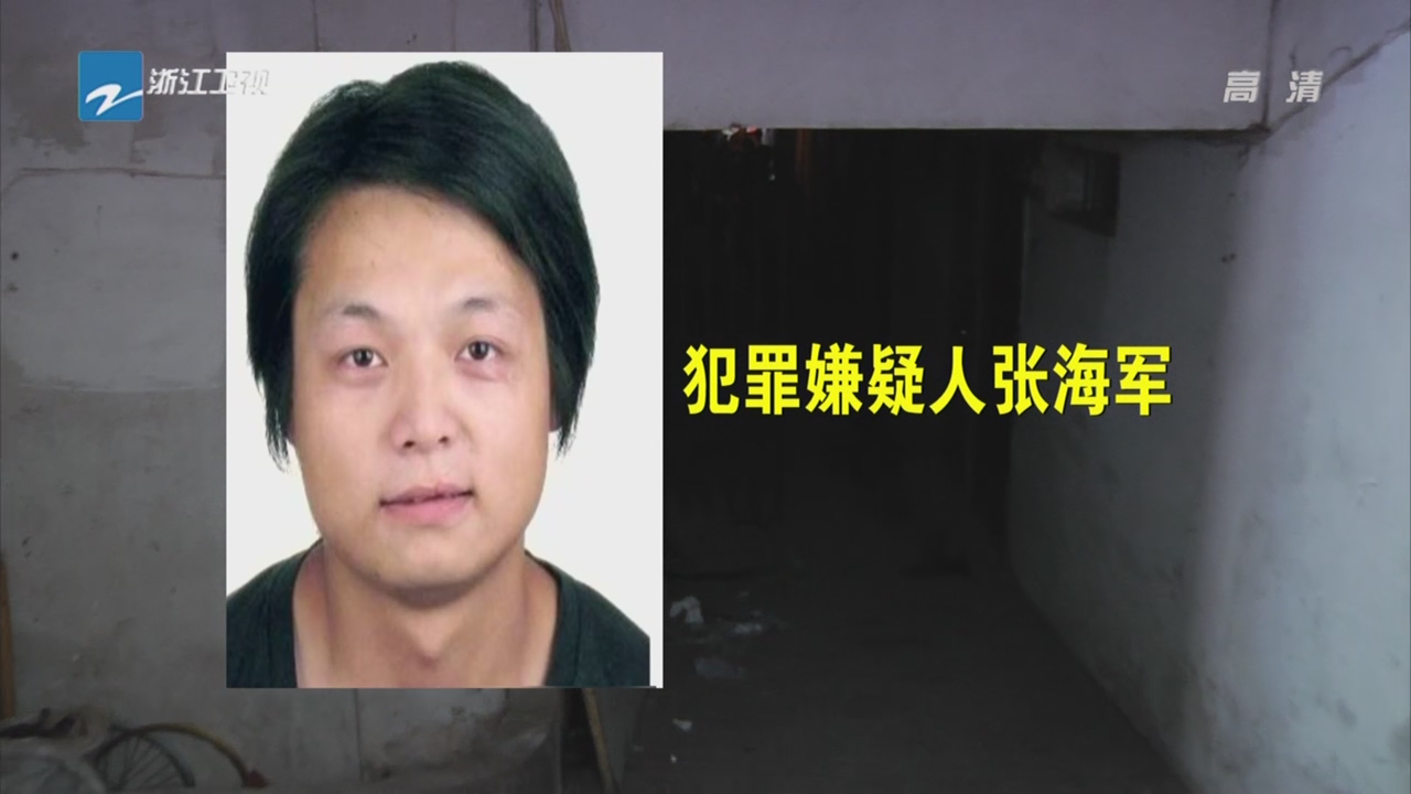 "东阳姐妹被杀案"追踪:犯罪嫌疑人张海军在山东落网