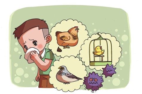2月7日至9日浙江新增4例人感染H7N9禽流感病
