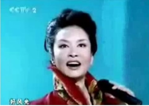 中国“第一夫人”彭丽媛