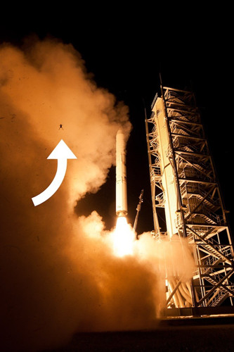 NASA航天史又一次牺牲青蛙被火箭气浪吹上天
