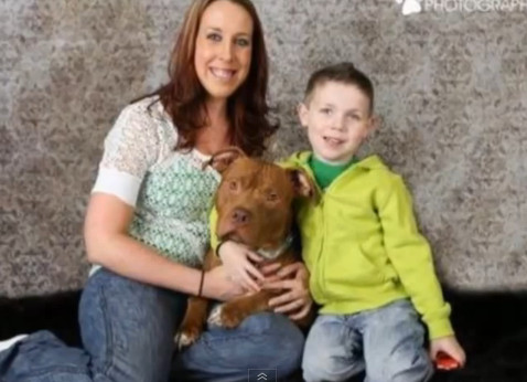 比特犬安乐死前被领养4天后救新主人4岁儿一命