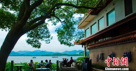 游客在杭州西湖边品茗　陈小彬　摄