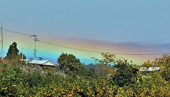 韩国济州岛出现“水平彩虹”韩国网民热议（图）