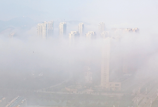 昨天早上，温岭市区被大雾笼罩。通讯员 周学军 摄