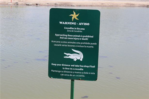 该处高尔夫球场地有警告鳄鱼出入的标志。