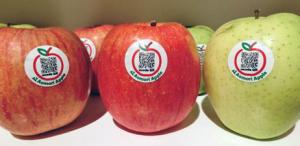 日本青森县苹果将贴二维码可查看果实成熟经过