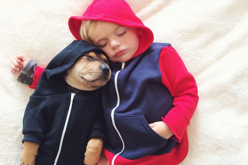 萌娃与宠物犬拥抱共眠睡姿搞笑尽显萌态（组图）