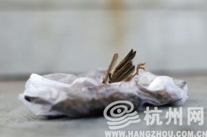 在海潮农贸市场外出售的麻雀 记者 陈荣辉 摄